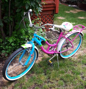 kijiji cruiser bike